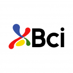 BCI_web